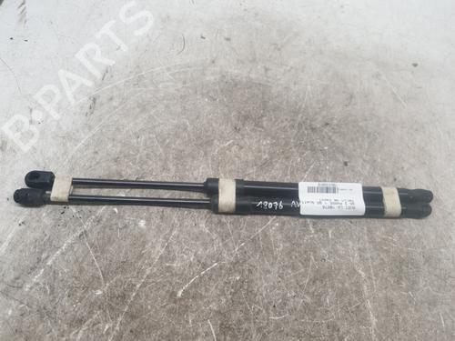 hood-lift-support-audi-q5-8rb-2008-2009-2010-2011-2012-2013-2014-2015-2016-2017-2018-2019-33948103 main image