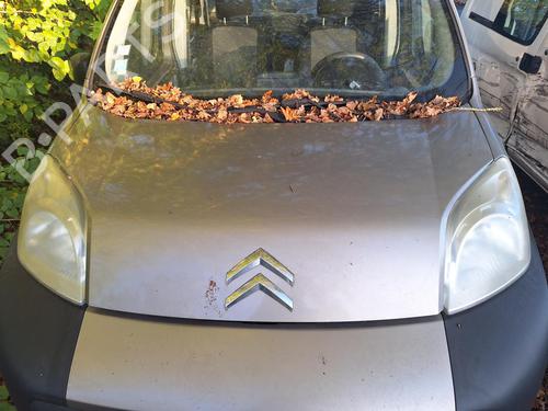 Used Hood CITROËN NEMO MPV 1.4 HDi (68 hp) 22873634