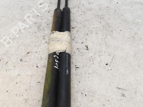 Used Tailgate lift support PEUGEOT 207 (WA_, WC_) 1.6 HDi (90 hp) 24423109