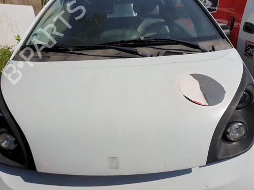 Hood BLUECAR BLUEUTILITY EV50 | BP26003788C1 