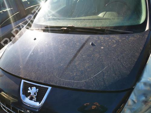 Used Hood PEUGEOT 3008 I MPV (0U_) 1.6 HDi (109 hp) 22881985