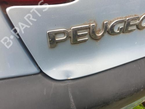 Bakluke CC/Kombi-Kupé PEUGEOT 206 Hatchback (2A/C) 1.4 i | BP27585176C6 