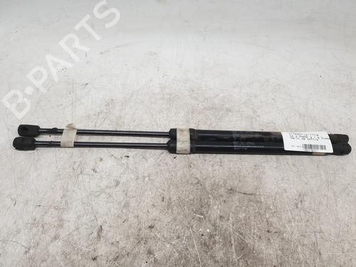 Tailgate lift support CITROËN C4 II (NC_) 1.6 BlueHDi 120 | BP30901832C138