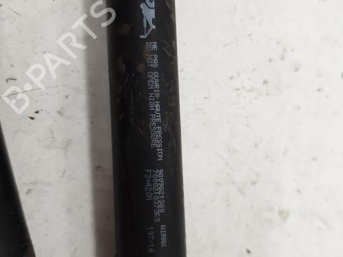 tailgate-lift-support-citroen-ds3-sa_-2009-2010-2011-2012-2013-2014-2015-2016-23436158 main image