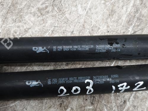 Tailgate lift support PEUGEOT 208 I (CA_, CC_) 1.4 HDi | BP31194902C138