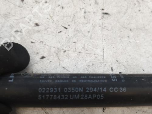 Used Tailgate lift support Tailgate lift support FIAT PUNTO (199_) 1.3 D Multijet (84 hp) 24423097 24423097