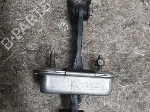 Hinge/Door check strap PEUGEOT 208 I (CA_, CC_) 1.6 BlueHDi 100 | BP29353557C146 