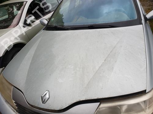 Used Hood RENAULT LAGUNA II Grandtour (KG0/1_) 1.9 dCi (KG0G) (120 hp) 25124594