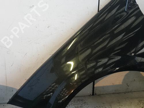 Used Left front fenders Left front fenders RENAULT MEGANE II (BM0/1_, CM0/1_) 1.9 dCi (BM0G, CM0G) (120 hp) 22878937 22878937