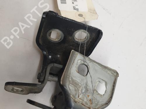 Hinge/Door check strap DACIA LOGAN MCV (KS_) 1.5 dCi (KS0W) | BP27884267C146 