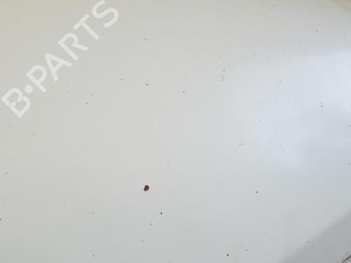 Used Hood FIAT DUCATO Van (250_) 130 Multijet 2,3 D (131 hp) 22879439