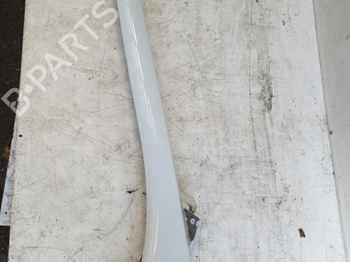 Torpedoplate RENAULT SCÉNIC III (JZ0/1_) 1.5 dCi (110 hp) 25842401