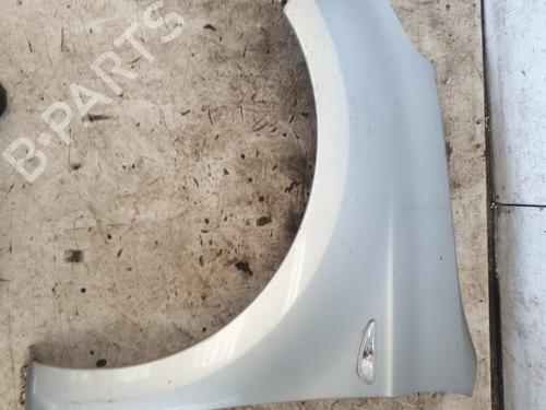 Used Left front fenders HYUNDAI i20 I (PB, PBT) 1.4 CRDi (75 hp) 29839995
