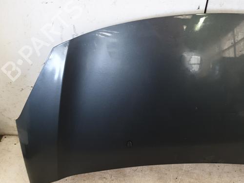 Used Hood Hood CITROËN C3 II (SC_) 1.2 VTi 82 (82 hp) 22865984 22865984