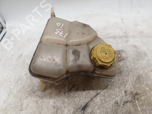 Used Expansion tank FIAT 500 (312_) 1.3 D Multijet (312AXB1A) (75 hp) 28036324
