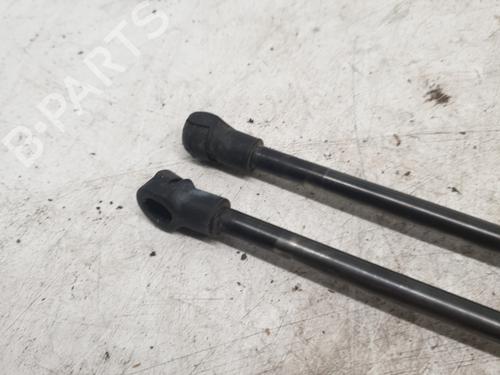 Tailgate lift support BMW 1 (F20) 118 d | BP25841982C138