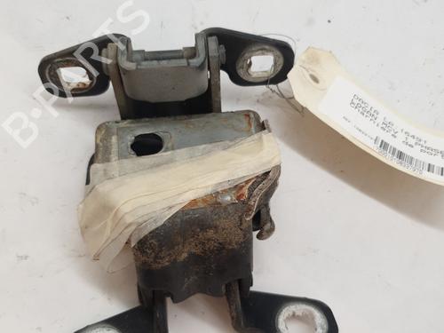 Used Hinge/Door check strap DACIA LOGAN MCV (KS_) 1.5 dCi (KS0W) (86 hp) 27220882