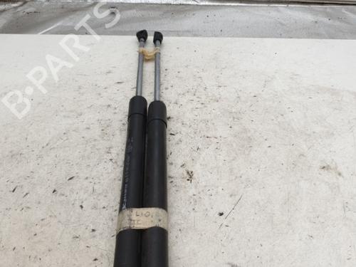 Used Tailgate lift support RENAULT CLIO III (BR0/1, CR0/1) 1.5 dCi (75 hp) 25843377