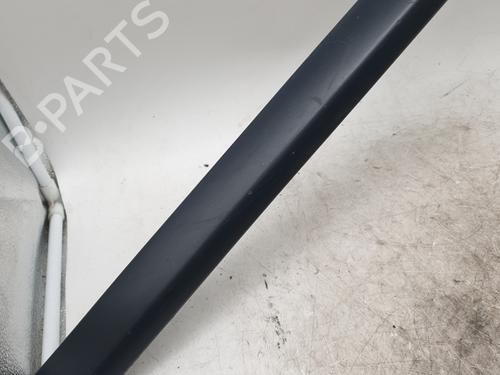 Door moulding trim RENAULT CLIO III (BR0/1, CR0/1) 1.2 16V Hi-Flex (BR1U, CR1U) | BP31189169C150 
