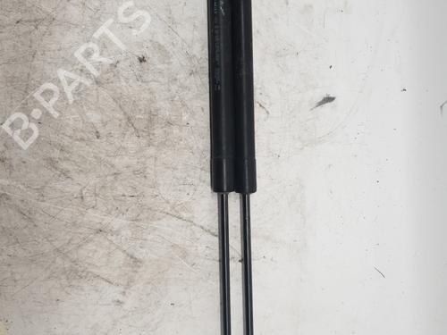 Used Tailgate lift support Tailgate lift support DACIA SANDERO II 1.0 SCe 75 (B8JC, B8JD, B8NC) (73 hp) 22876938 22876938