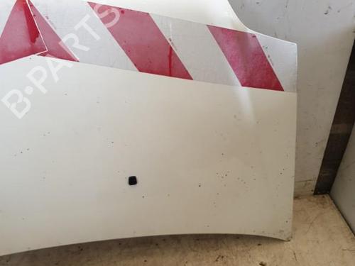 Hood FIAT DOBLO Box Body/MPV (223_) 1.2 (223ZXA1A) | BP22878039C1 