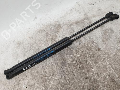Used Tailgate lift support RENAULT CLIO III Grandtour (KR0/1_) 1.2 16V (KR02, KR0J) (75 hp) 25933339