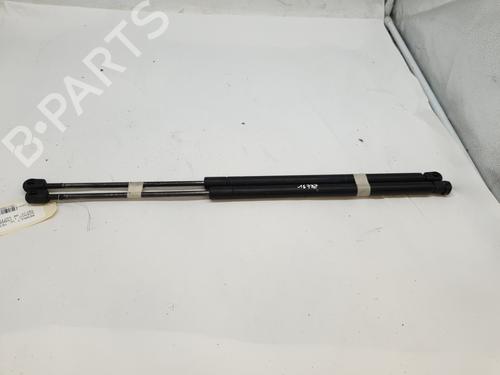 tailgate-lift-support-renault-megane-scenic-ja01_-1996-1997-1998-1999-2000-2001-26977460 main image