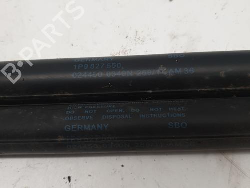 Tailgate lift support SEAT LEON (1P1) 2.0 TDI 16V | BP22869811C138 