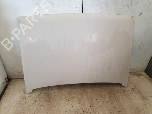 Used Hood RENAULT RAPID Box Body/MPV (F40_, G40_) 1.6 D (F404) (55 hp) 25989631