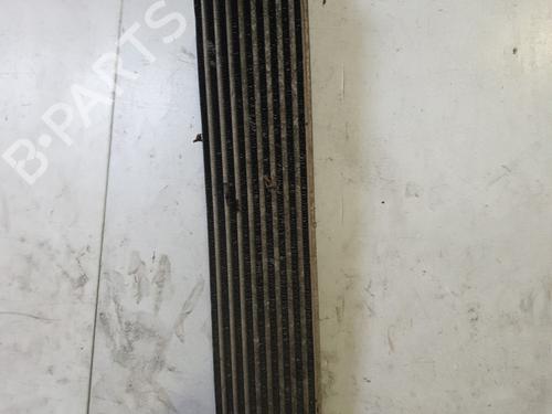 Used Intercooler FIAT BRAVO II (198_) 1.6 D Multijet (198AXM1B) (90 hp) 22882788