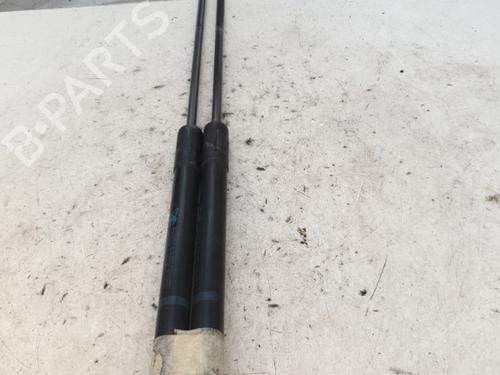Tailgate lift support CITROËN C4 I (LC_) 1.6 HDi | BP25843365C138 