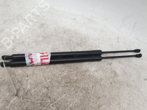 Tailgate lift support RENAULT MODUS / GRAND MODUS (F/JP0_) 1.2 (JP0C, JP0K, FP0C, FP0K, FP0P, JP0P, JP0T) | BP29916471C138 