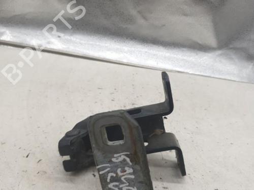 hingedoor-check-strap-dacia-logan-mcv-ks_-2007-24422763 main image