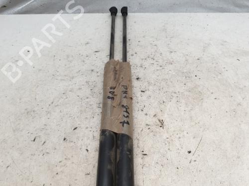 Used Tailgate lift support Tailgate lift support PEUGEOT 208 I (CA_, CC_) 1.4 HDi (68 hp) 30604500 30604500