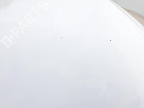Hood RENAULT SCÉNIC III (JZ0/1_) 1.5 dCi (JZ02, JZ0R) | BP25738418C1