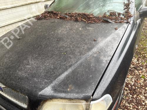 Used Hood Hood VOLVO S40 I (644) 1.8 i (125 hp) 40200689 40200689