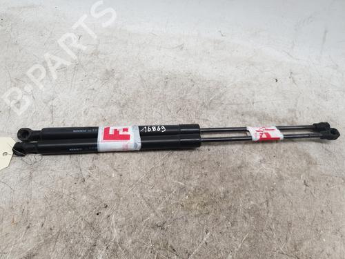 Used Hood lift support DACIA SANDERO II 1.0 SCe 75 (B8JC, B8JD, B8NC) (73 hp) 29961342