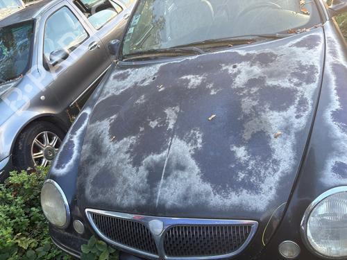Used Hood Hood LANCIA LYBRA (839_) 1.9 JTD (839AXD1A) (105 hp) 39696443 39696443