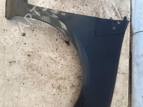 Left front fenders RENAULT CLIO III (BR0/1, CR0/1) 1.5 dCi (C/BR0G, C/BR1G) | BP29287802C41 
