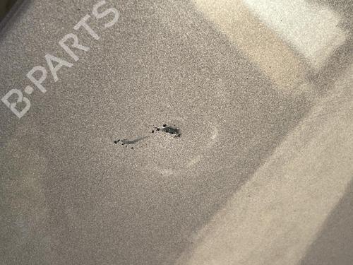 Used Hood CITROËN C3 I (FC_, FN_) 1.4 HDi (68 hp) 22886722