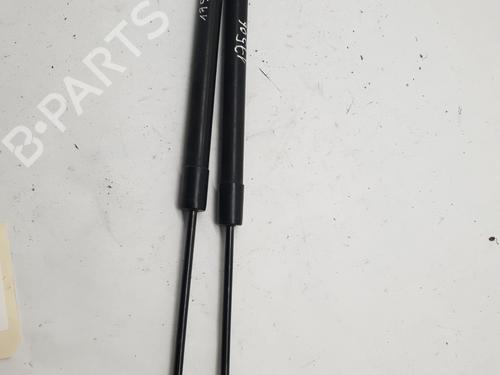 tailgate-lift-support-renault-scenic-iii-jz01_-2008-2009-2010-2011-2012-2013-2014-2015-2016-26236890 main image