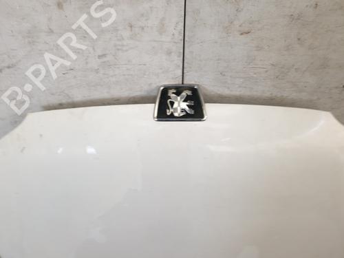 Hood PEUGEOT 106 II (1A_, 1C_) 1.5 D | BP29863471C1