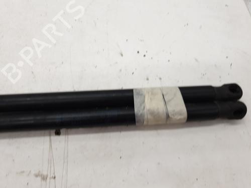 Tailgate lift support FORD FIESTA VI (CB1, CCN) 1.6 TDCi | BP22893123C138 