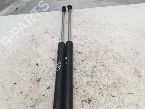 Used Tailgate lift support RENAULT CLIO III (BR0/1, CR0/1) 1.5 dCi (BR0H, CR0H, CR1S, BR1S) (106 hp) 22866321
