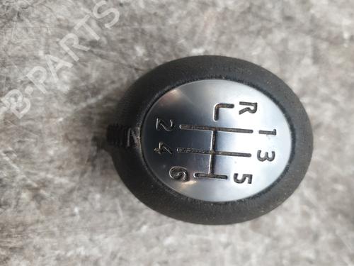 Used Gear lever RENAULT SCÉNIC III (JZ0/1_) 1.9 dCi (JZ0J, JZ1J, JZ1K, JZ1S) (131 hp) 29446170