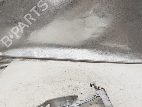 Hinge/Door check strap SKODA FABIA II (542) 1.6 TDI | BP24422950C146 