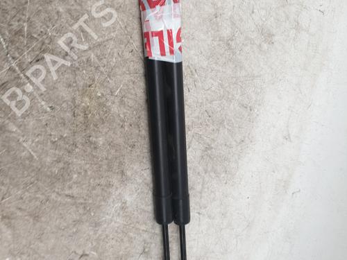 Used Tailgate lift support RENAULT MODUS / GRAND MODUS (F/JP0_) 1.2 (JP0C, JP0K, FP0C, FP0K, FP0P, JP0P, JP0T) (75 hp) 29916471