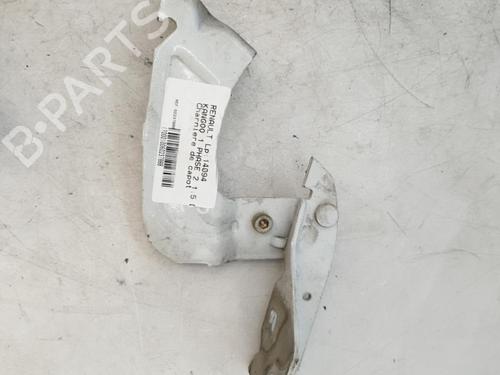 Used Hinge/Door check strap RENAULT KANGOO Express (FC0/1_) 1.5 dCi (FC08, FC09) (82 hp) 24421032