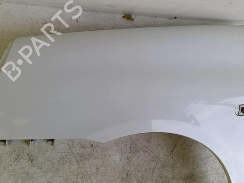 Used Left front fenders RENAULT CLIO II (BB_, CB_) 1.5 dCi (B/CB3M) (64 hp) 22876747