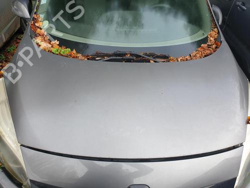 Hood RENAULT GRAND SCÉNIC III (JZ0/1_) 1.5 dCi (JZ09, JZ0D, JZ10, JZ14, JZ1G, JZ29, JZ2C) | BP30180773C1 